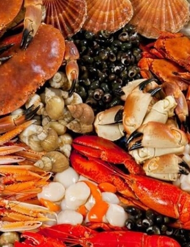 NHÀ HÀNG HẢI SẢN THÀNH PHÁT 5 – ĐIỂM ĐẾN THƯỞNG THỨC HẢI SẢN TƯƠI NGON TẠI VŨNG TÀU